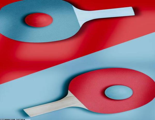 体育公益活动策划