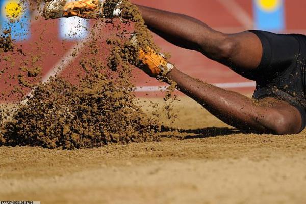 浦东新区体育导师培训流程解析